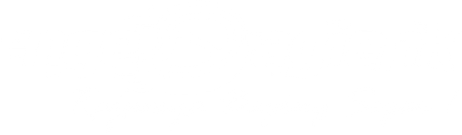 WordPress Blog